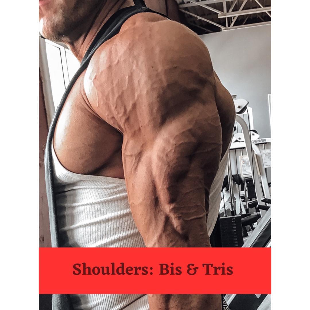 Day 5: Delts: Traps & Abs