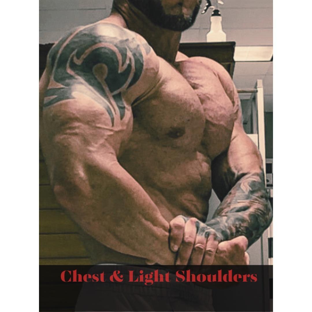 Chest- Light Shoulders & Abs