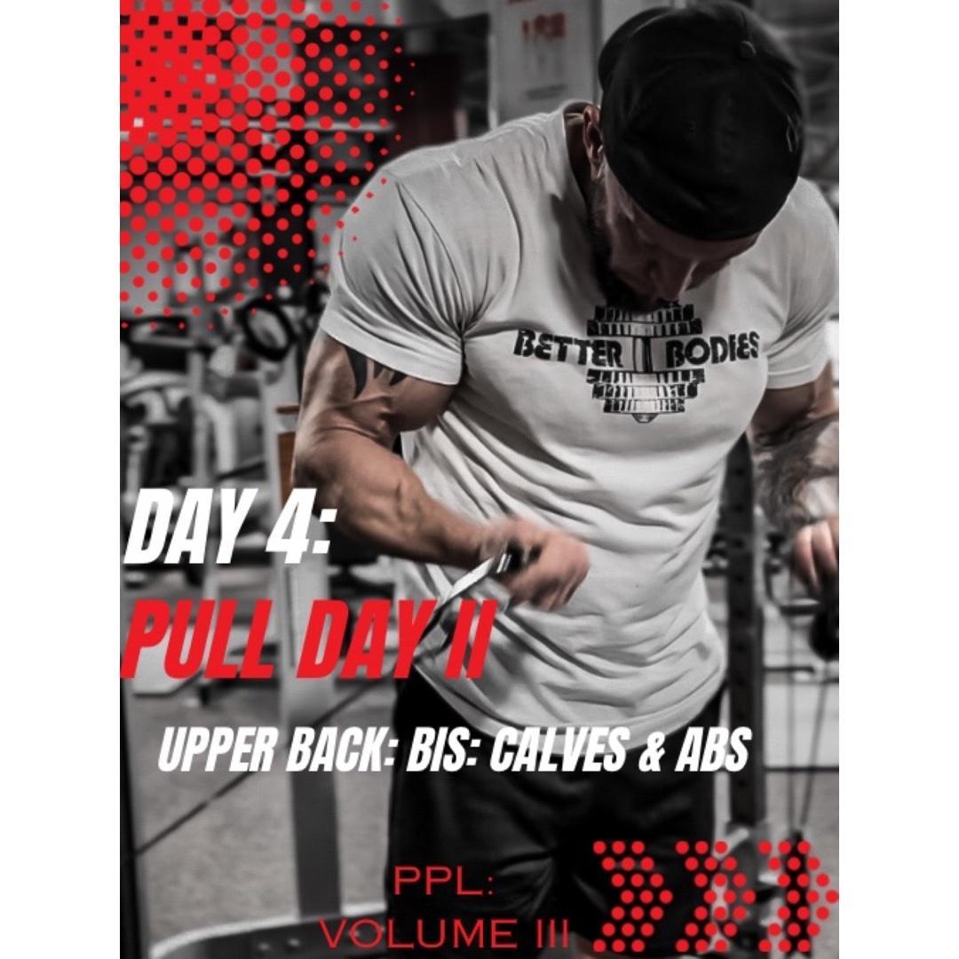 Day 4: Pull Day 2: Upper Back: Bis & Abs