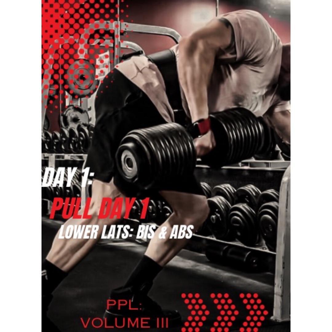 Day 1: Pull Day 1: Lower Lats- Bis & Abs