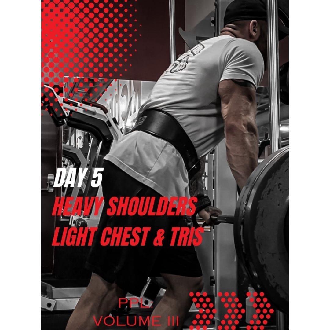 Day 5: Push Day II: Heavy Shoulders & Light Chest & Tris